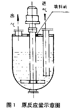 圖1 原搪玻璃反應釜示意圖